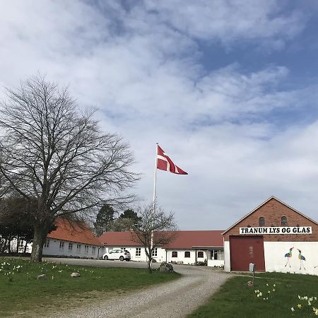 Tranum Lys Og Glas Brovst Exteriör bild